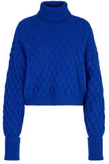 Sweater Venoto Solid Turtle - DANTE6